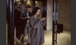 娱乐圈爆料大神系统,揭秘明星背后的秘密与真相