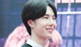 圈内爆料王一博鹿晗,神秘项目引粉丝热议